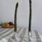 set of two green asparagus taper candles 