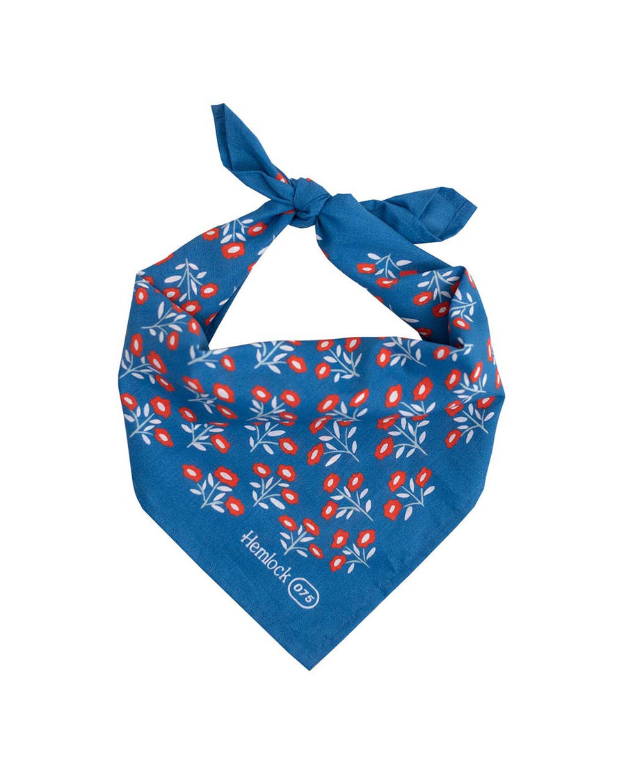 folded blue bandana with all over red floral print