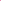 up close of hot pink plissee kitten heels