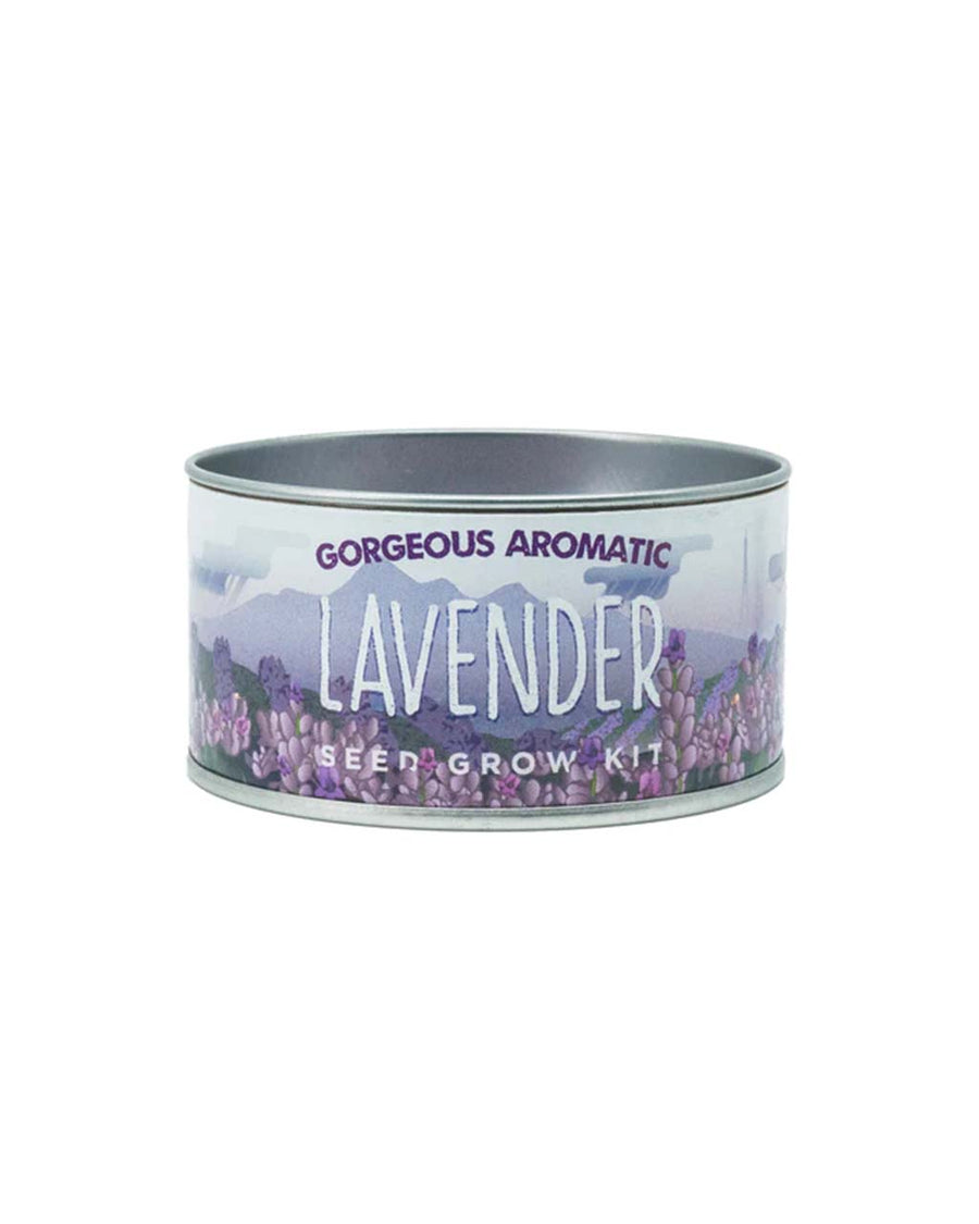 gorgeous aromatic lavender seed grow kit