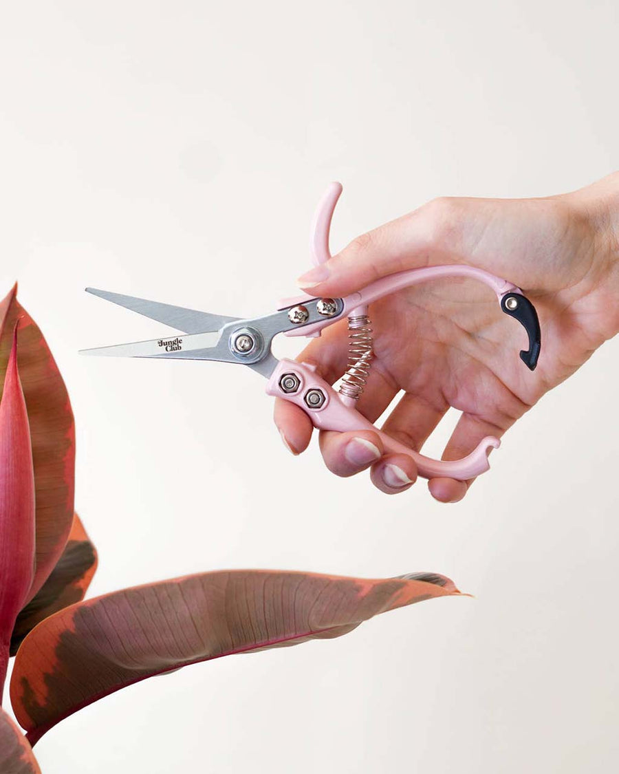 model using light pink pruning shears