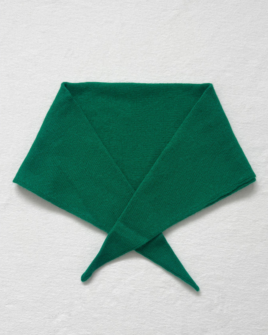 kelly green bandana around their neck