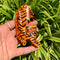 model holding orange tiger hair claw