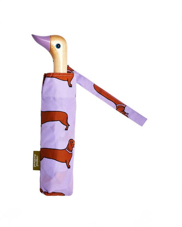 packaged lilac duckhead umbrella with all over dachshund print