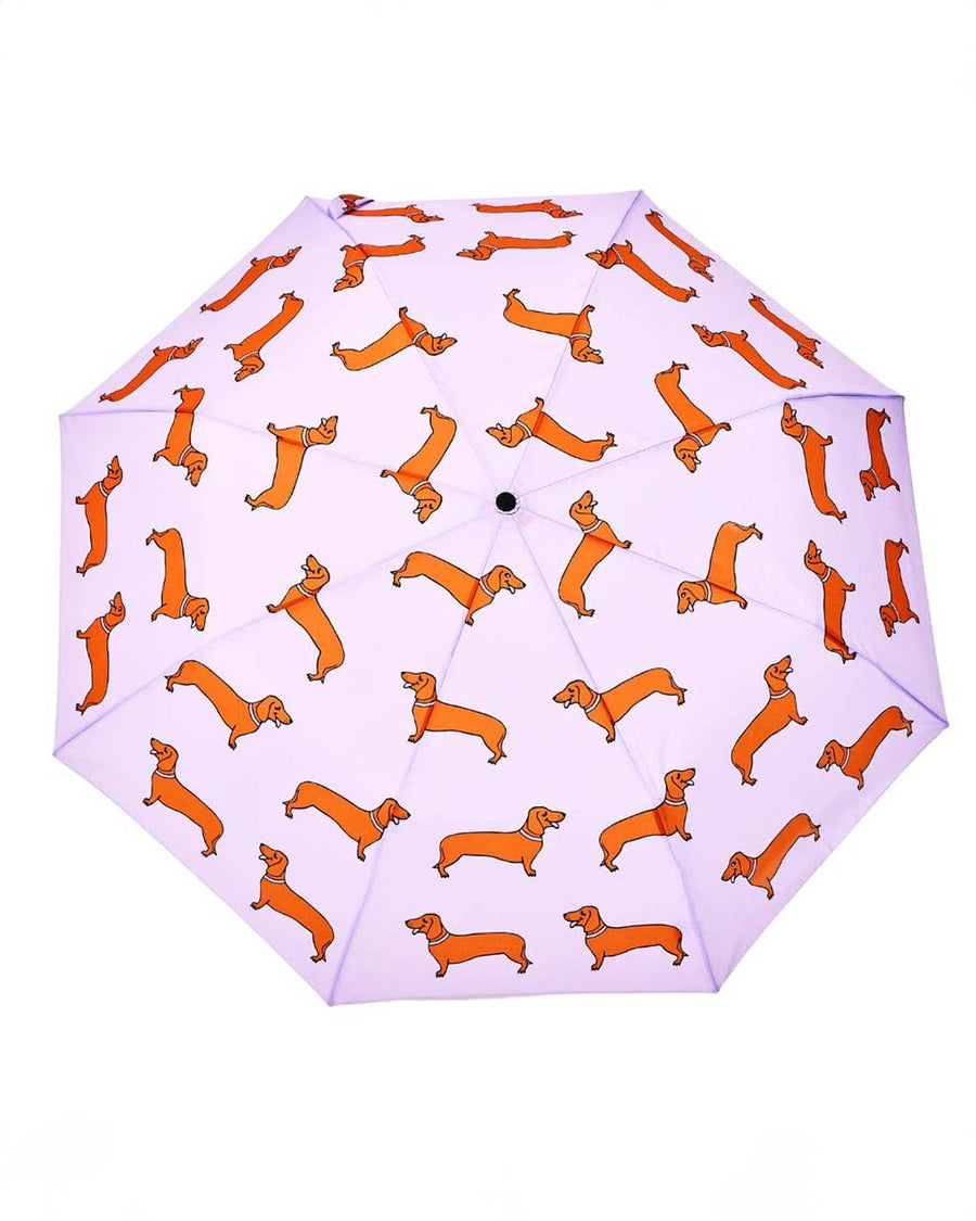 opened lilac duckhead umbrella with all over dachshund print
