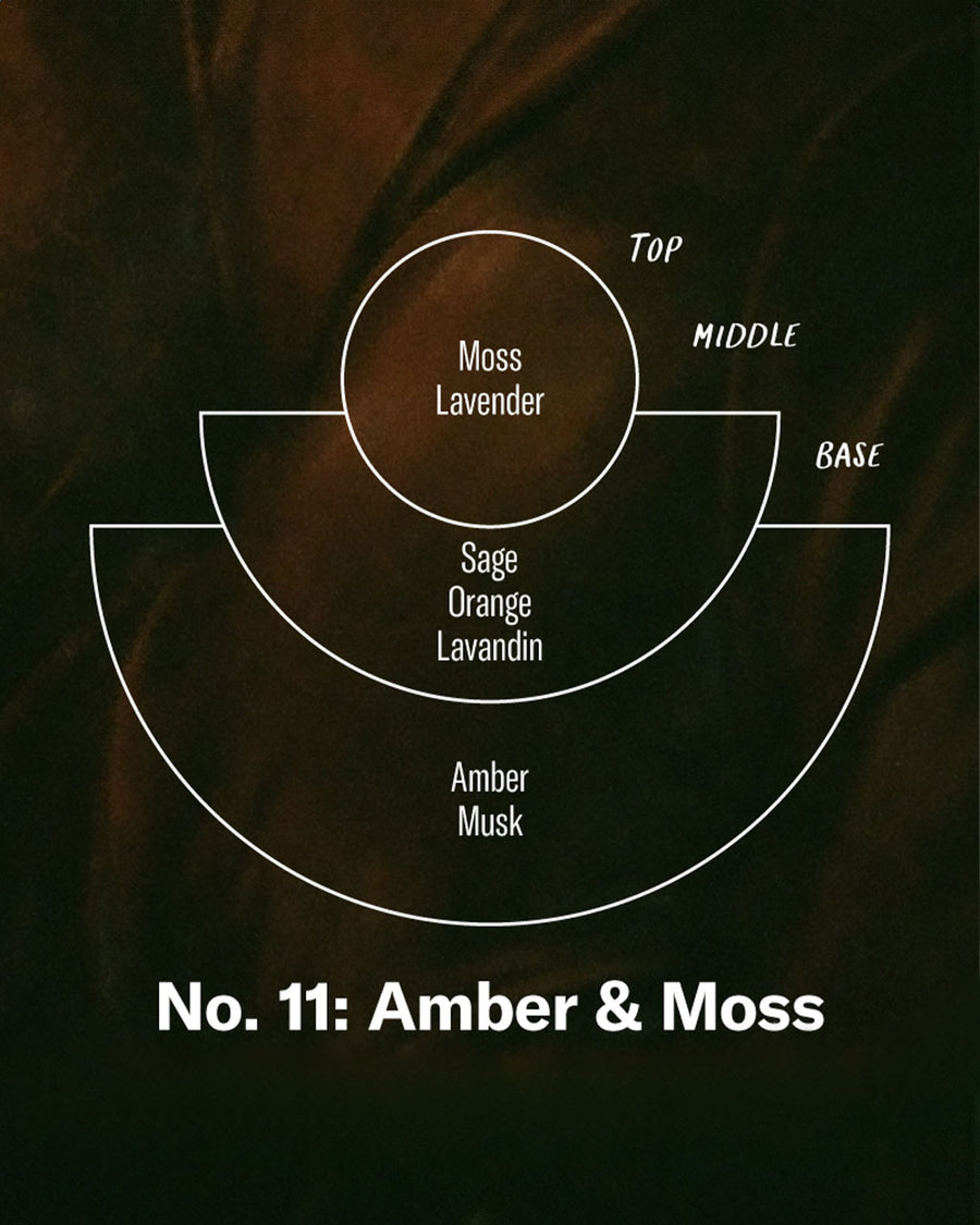 Top notes: moss, lavender Middle notes: sage, orange, lavandin Base notes: amber, musk
