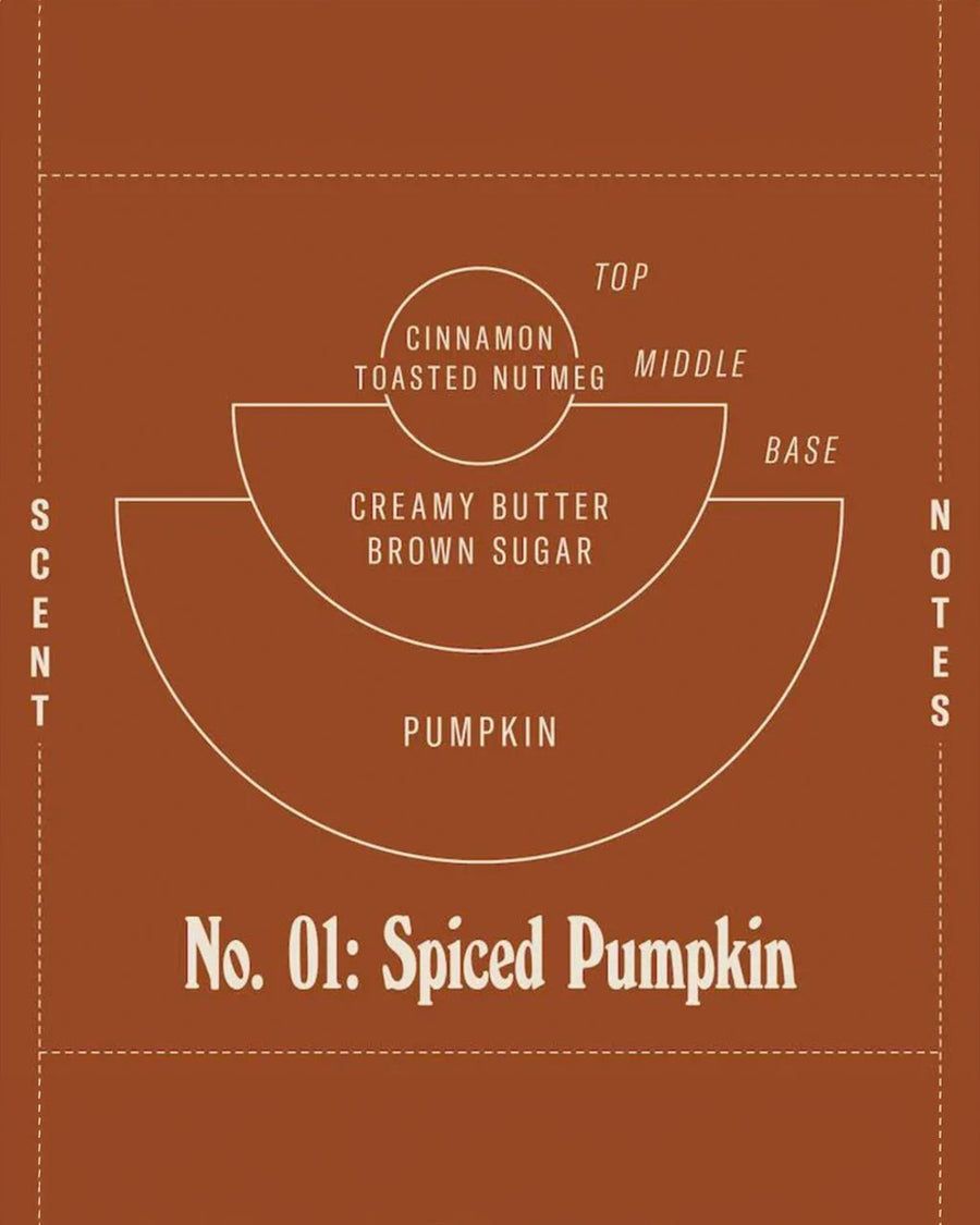 Top notes: Cinnamon, Toasted nutmeg, Middle Notes: Creamy butter, brown sugar, Base: Pumpkin