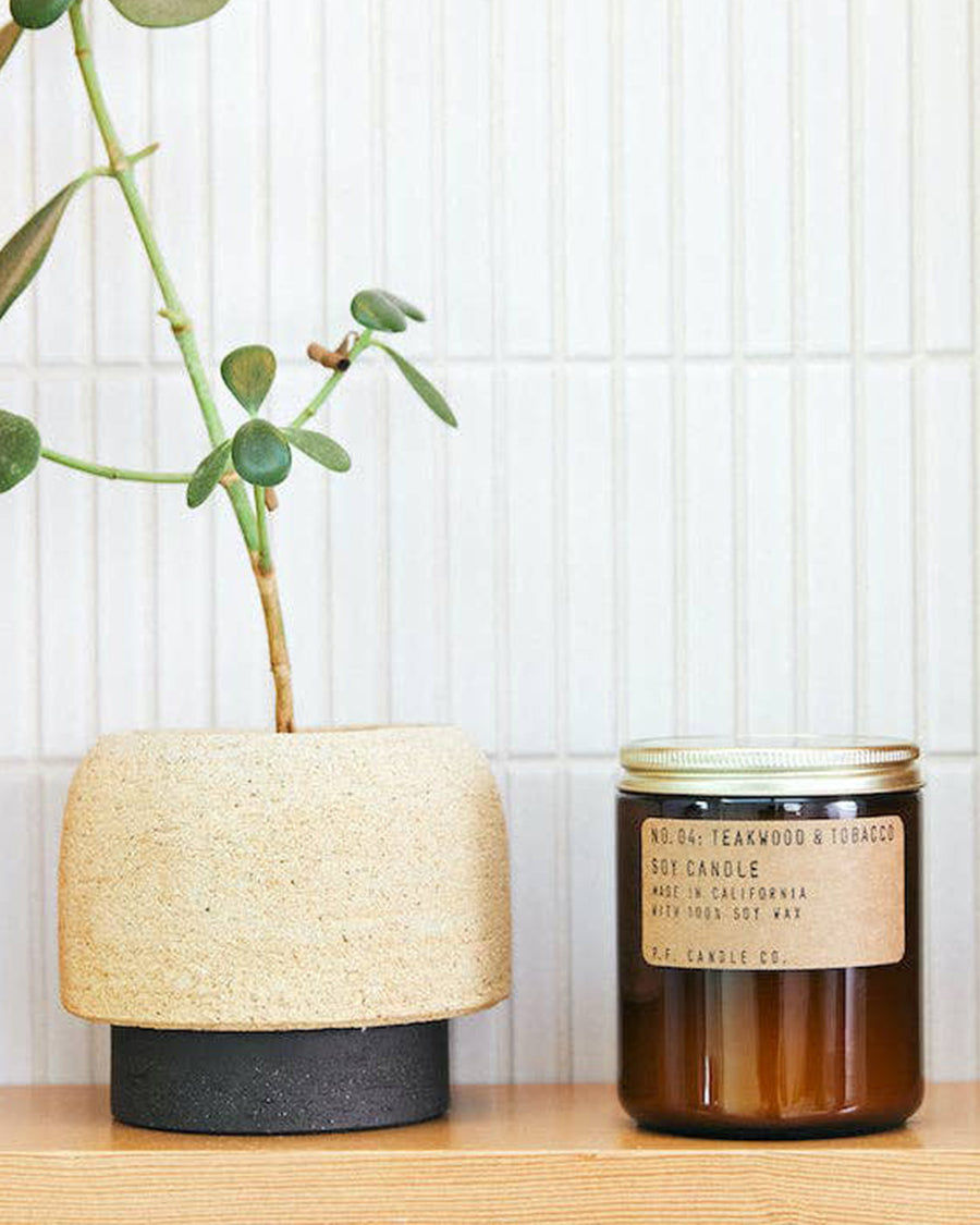 7.2 oz candle in teakwood and tobacco scent next to a plant