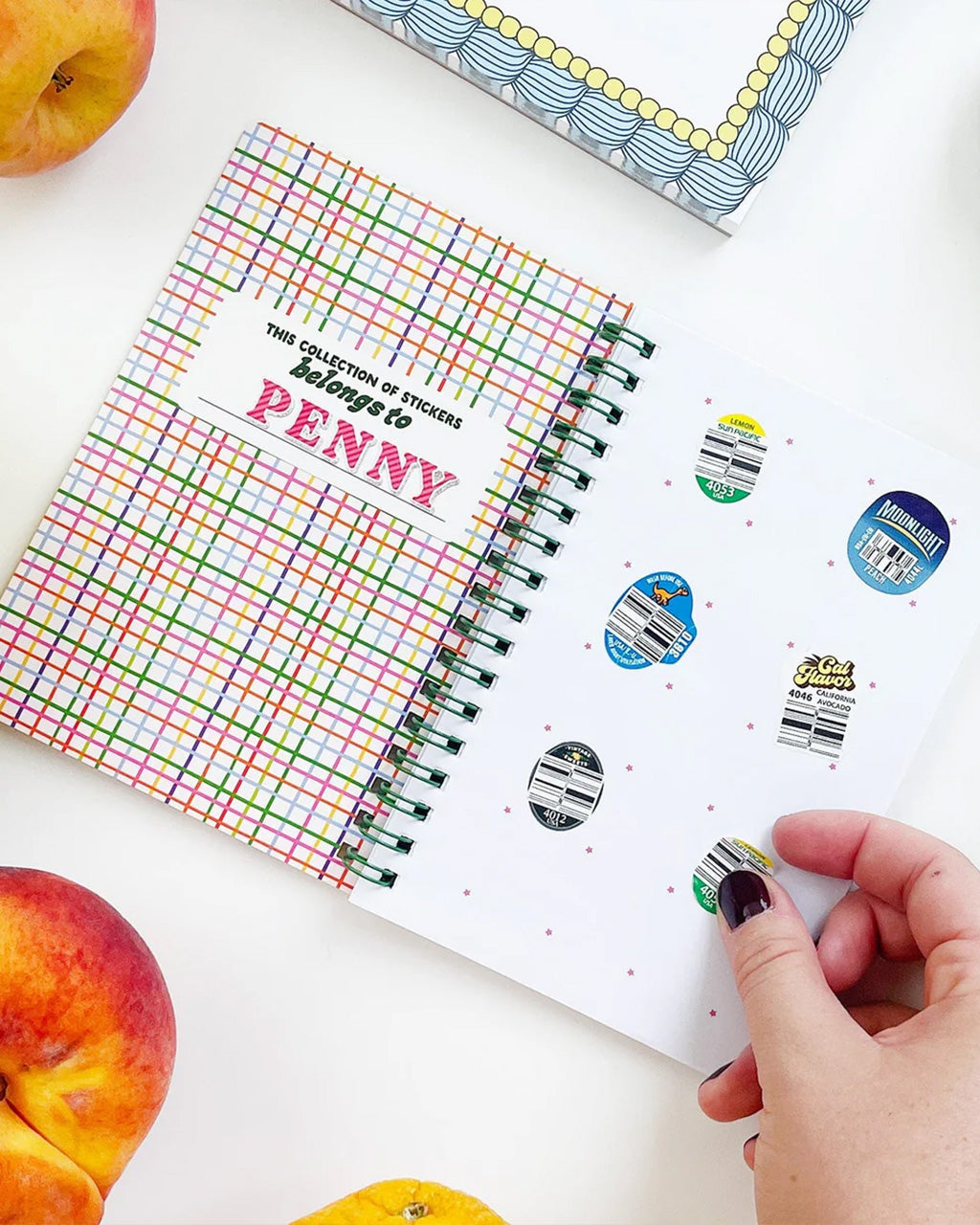 Fruit Sticker Journal Book – ban.do