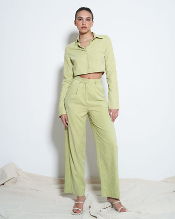model wearing light green suede trousers with pleated top and tapered legs with matching top