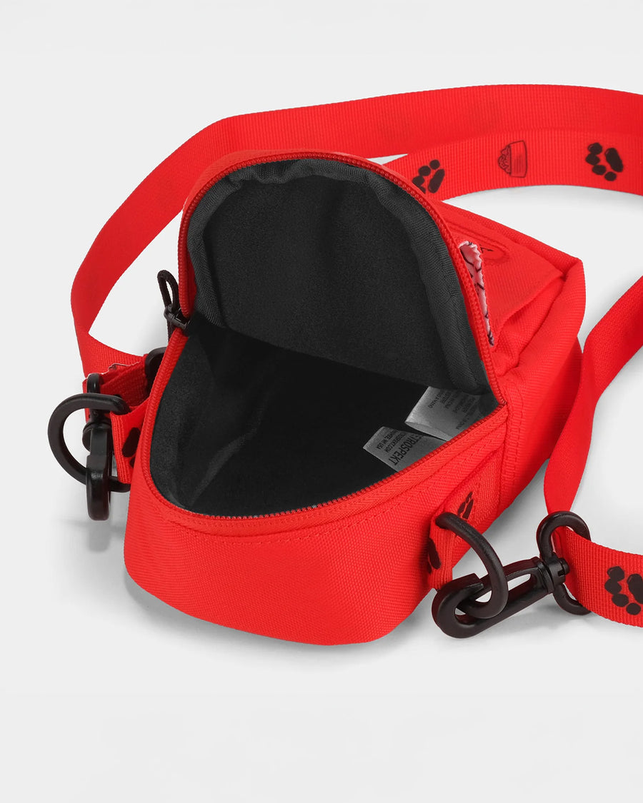 interior of red 35mm camera bag with snoopy design