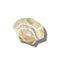cream seashell hair claw