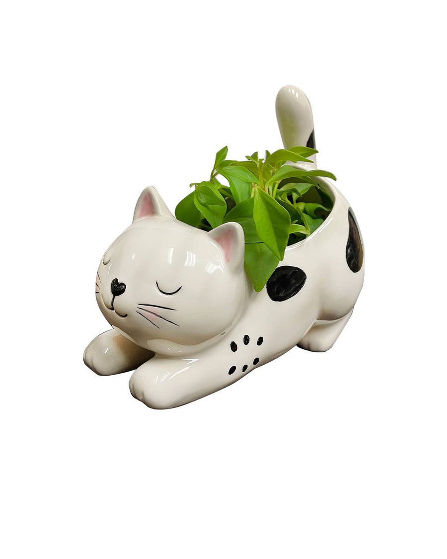 stretching white and black cat planter