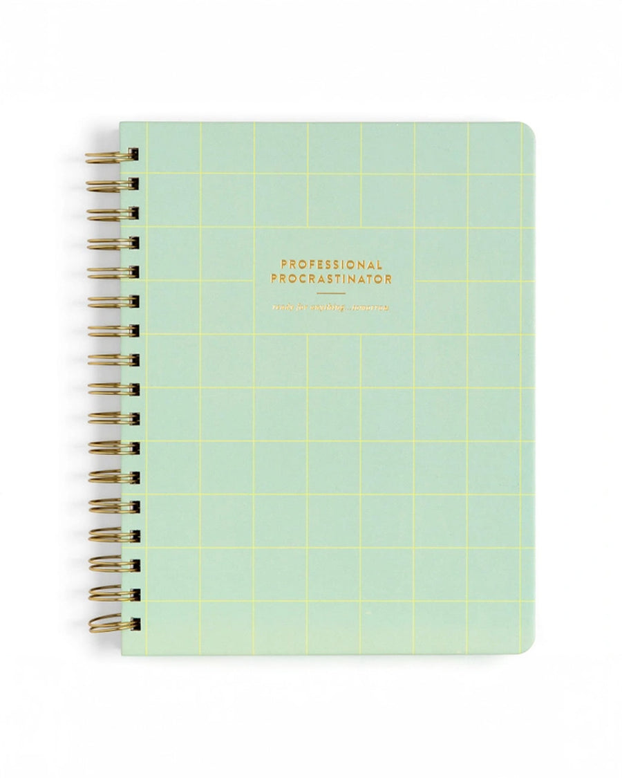 green grid notebook with gold foil 'professional procrastinator' across the front
