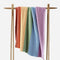 vertical rainbow throw blanket over a hanging rod