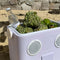 lavender beach speaker cooler  filled with fruit and drinks
