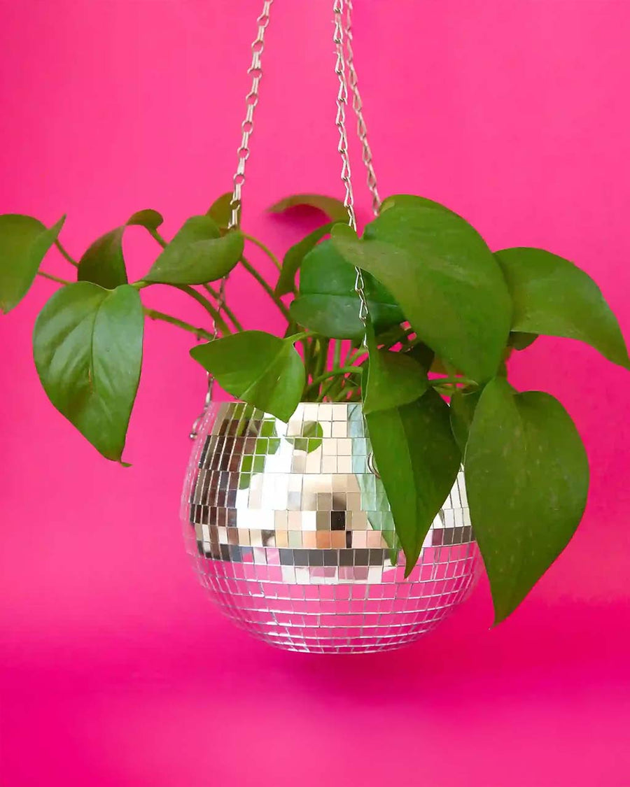 6 inch hanging disco planter with plant inside