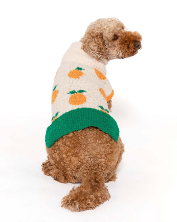 dog wearing green and cream pet sweater with all over orange print
