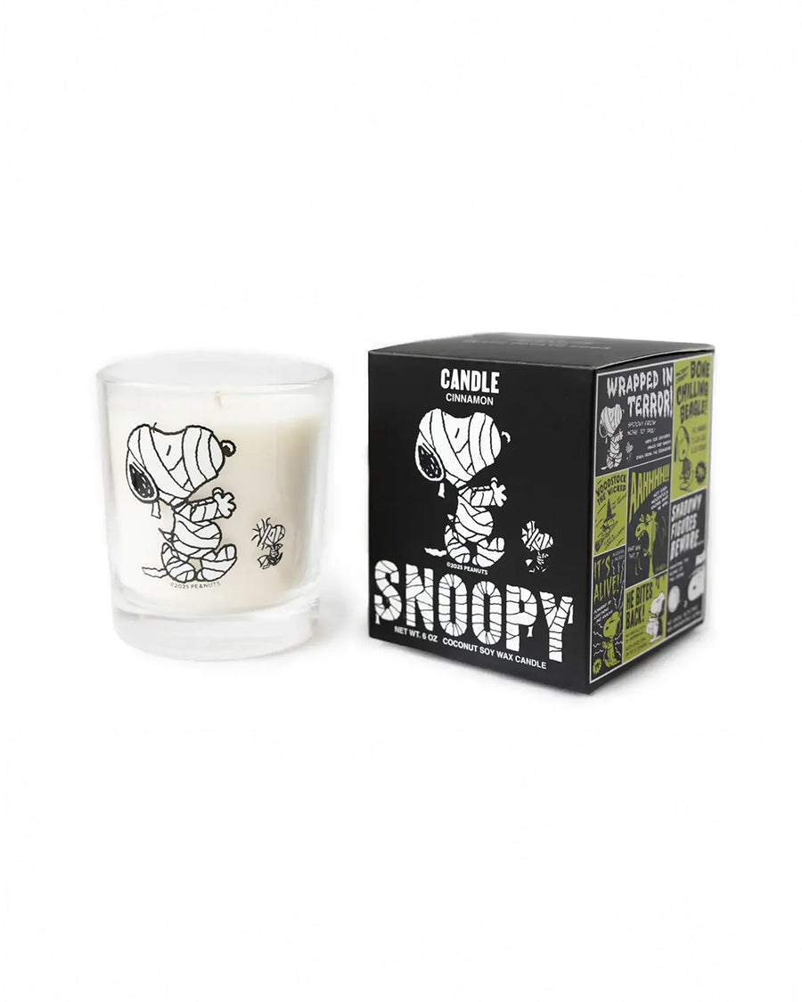 cinnamon scented candle with snoopy and wooodstock in a mummy outfit and matching box