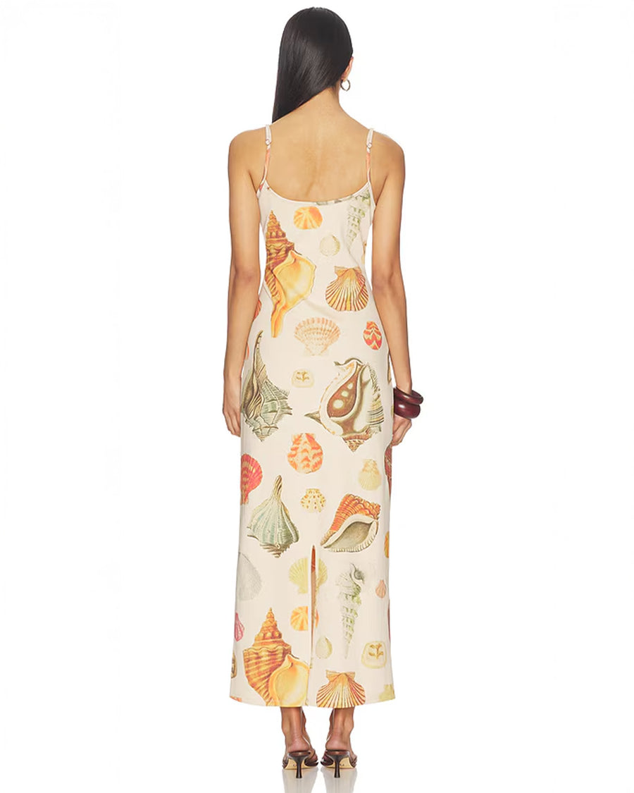 cream shell dress Cream Nomisma Sea Shell Print Maxi Millie Dress XXL