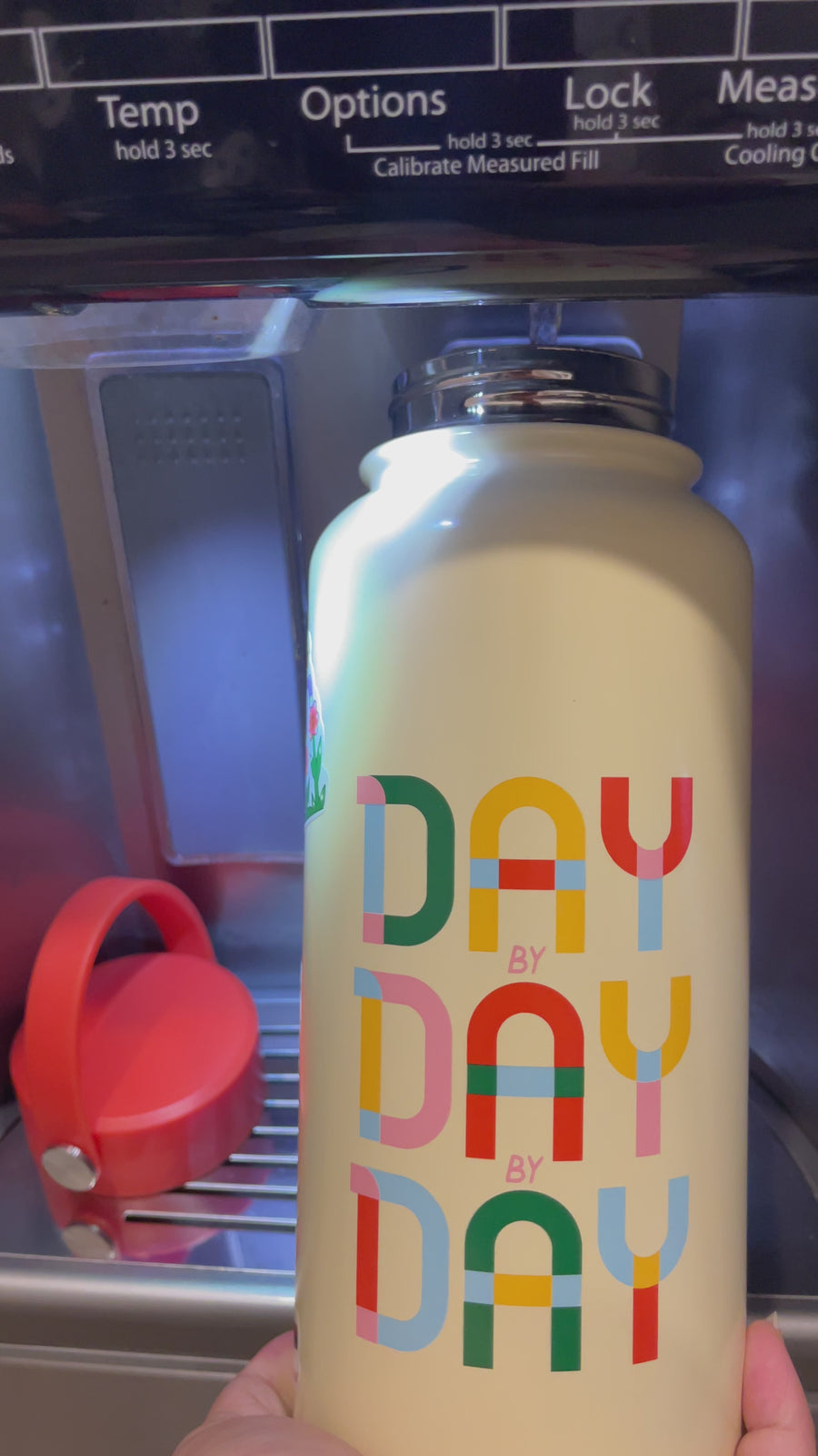 Stainless Steel Water Bottle - Day By Day