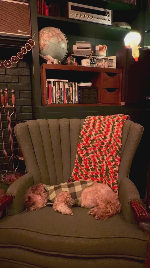 model putting house shaped and strawberry candy throw pillows behind a sleeping dog