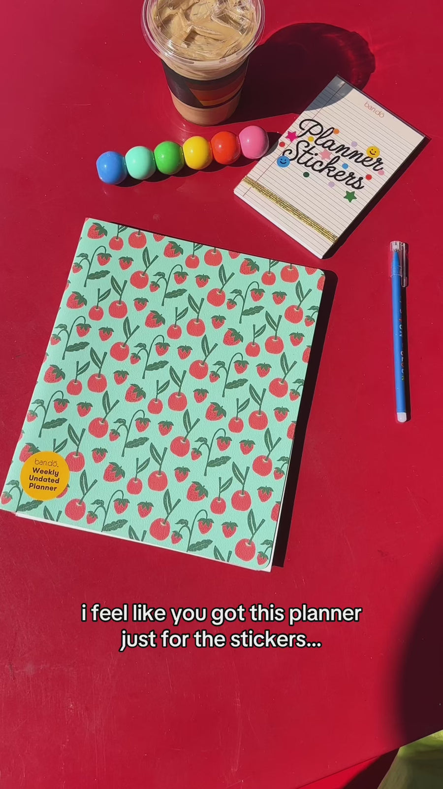 interior stickers in cherries and strawberries undated planner