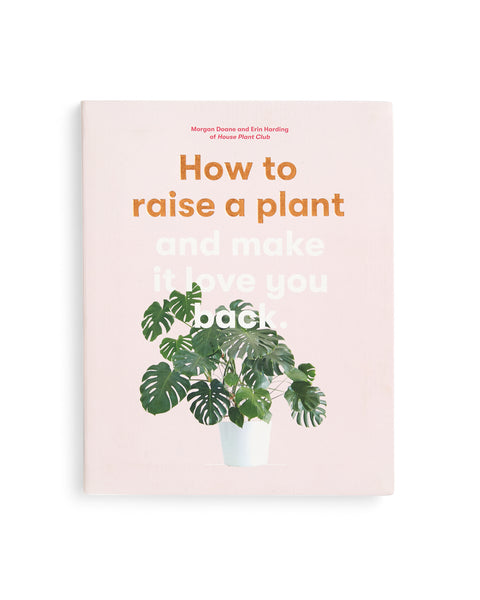How to Raise a Plant and Make It Love You Back – ban.do