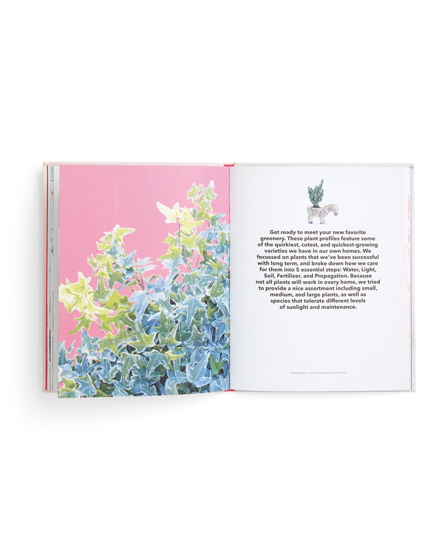 interior page of how to raise a plant book