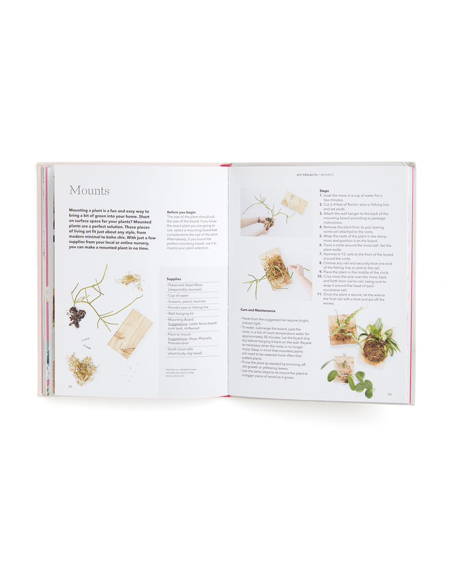 interior pages of how to raise a plant book featuring planting tips