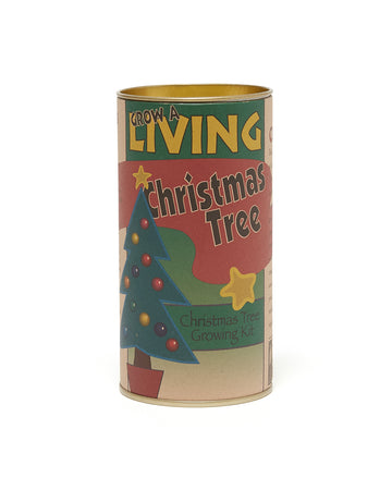living christmas tree grow kit