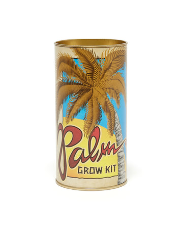 palm tree grow kit 