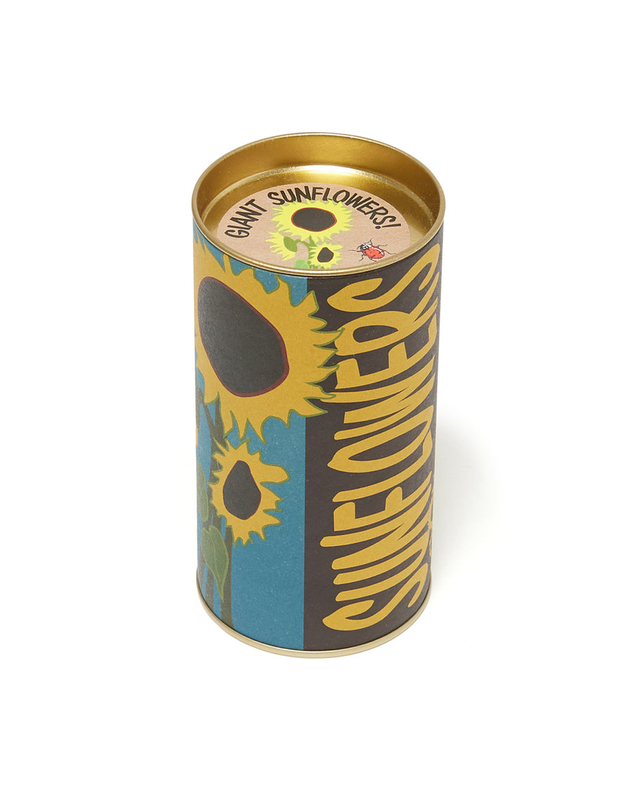 sunflower grow kit in tin packaging