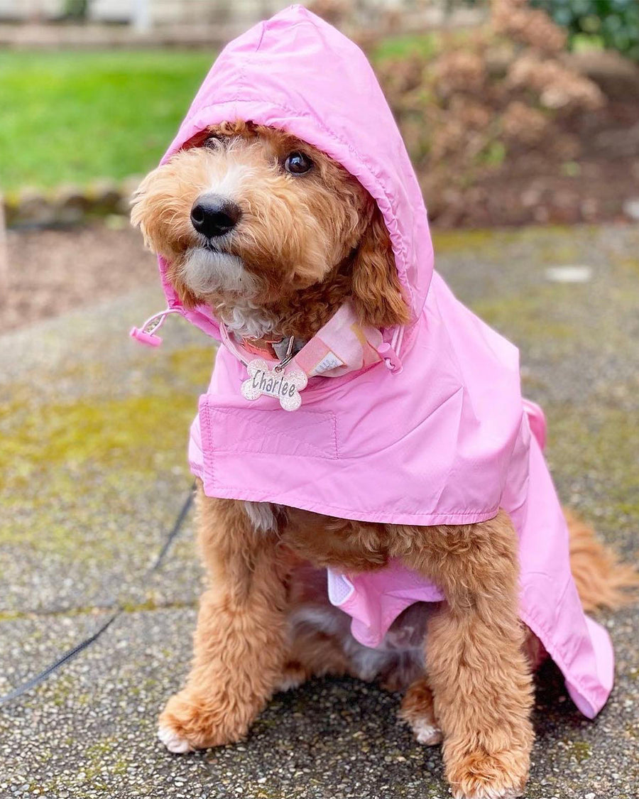 dog wearing light pink raincoat 