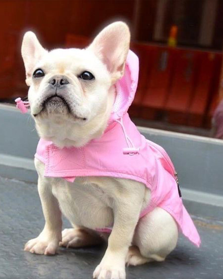 dog wearing light pink raincoat 