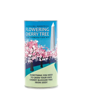 flowering cherry tree grow kit