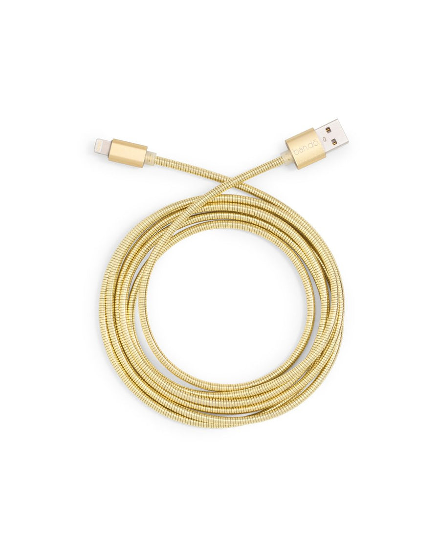 metallic gold charging cord 