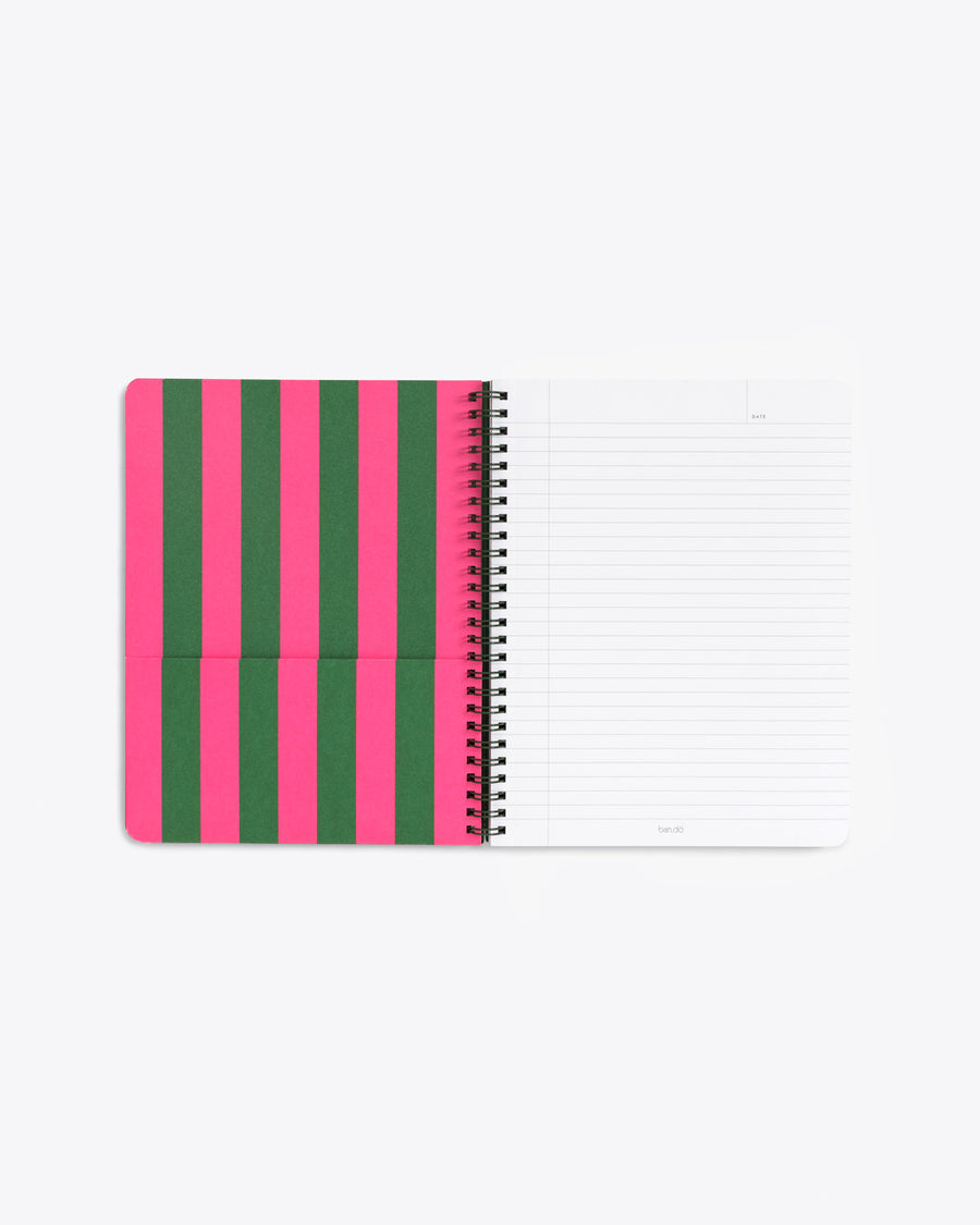 interior image of lined pages and pink and green end sheet with pocket