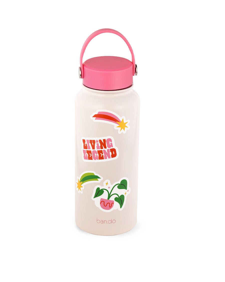 backview of light pink stainless steel water bottle with 'living legend', plant and shooting star stickers